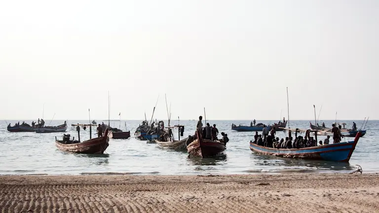 Fishing boats