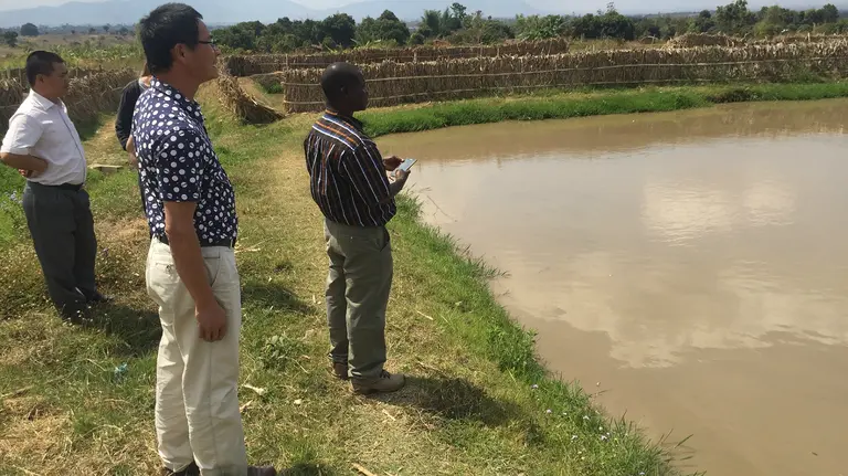 Three men look out over a pond