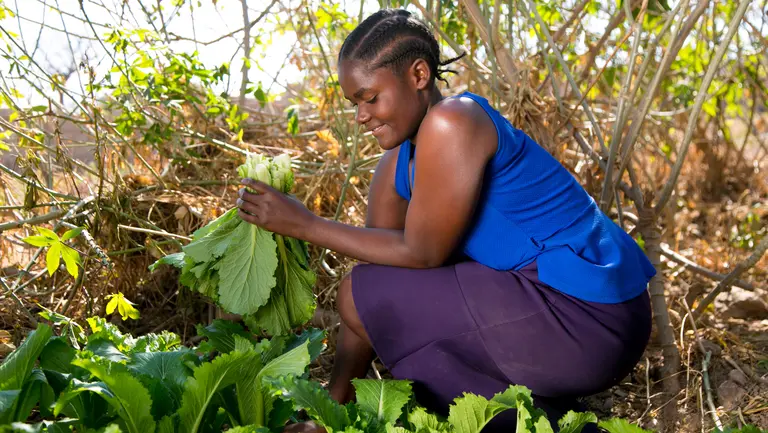 A woman picks fresh greens