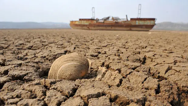 The cracked mud of a dried-up reservoir bed, with a dead river-mussel shell in the foreground and an abandoned boat in the background