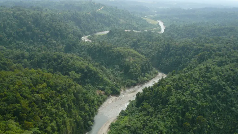View of a river