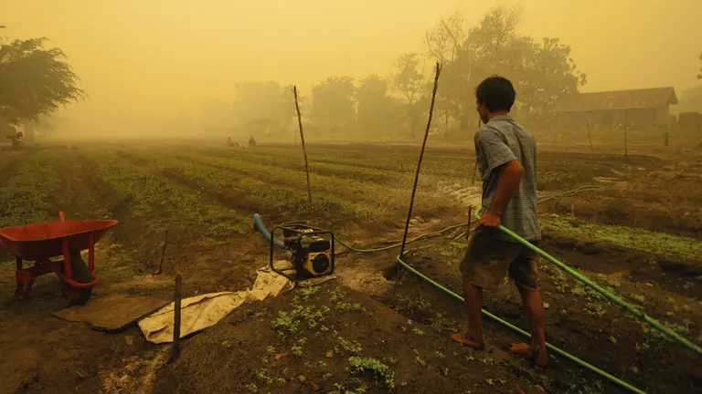 Hazy landscape with a man in the foreground watering crops