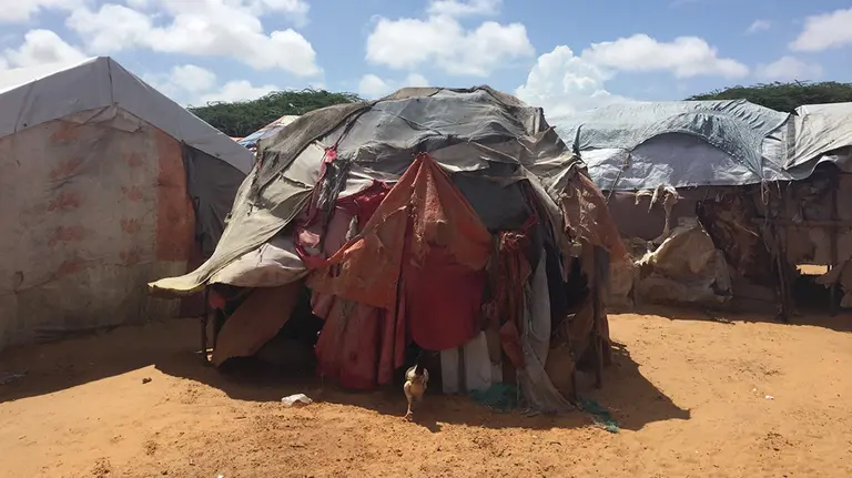 Temporary shelters made from sticks, plastic and fabric