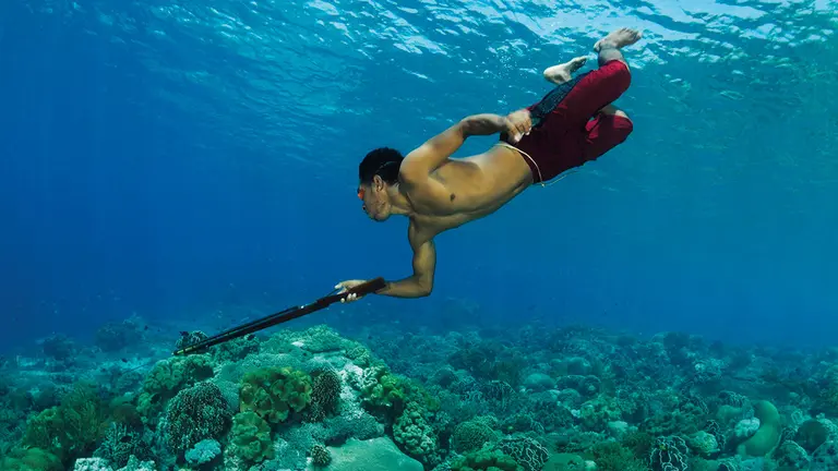 Fisherman diving over a coral reef