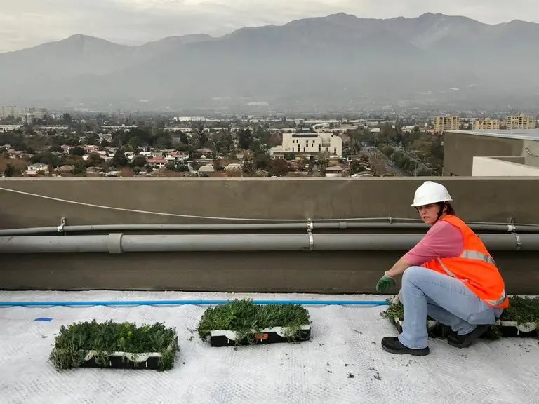 A woman on a roof with plants