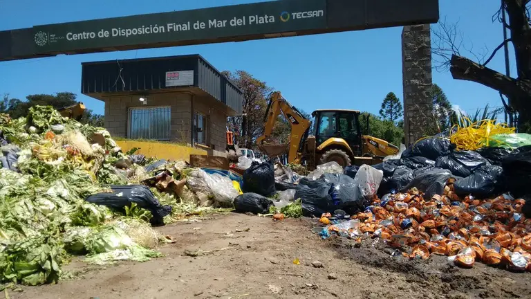 Rubbish and black bin bags are strewn around 