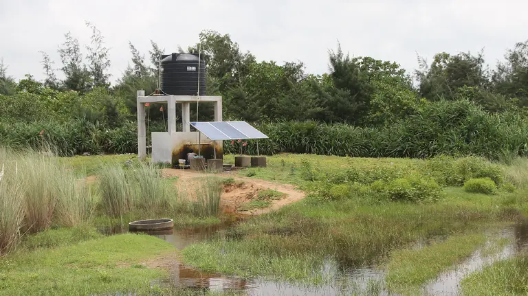 A solar-powered building alongside wetland