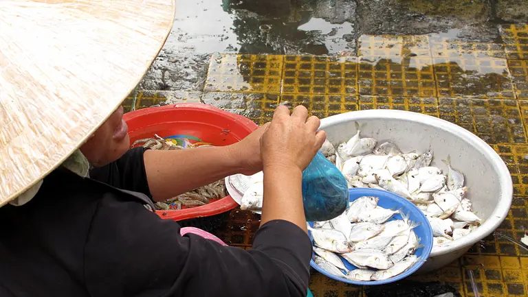 A woman market trader holds up a small plastic bag of fresh fish.