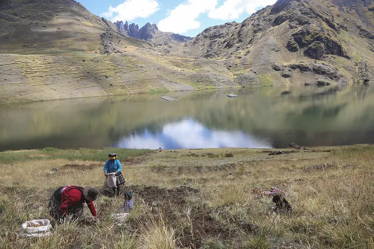 A family harvesting potatoes in front of a lake, with a landscape of mountains in the background.