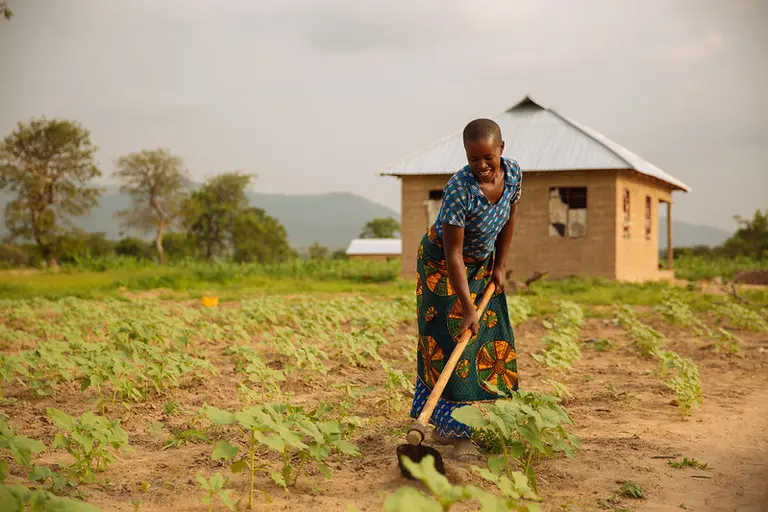 Woman tilling soil with a hoe.