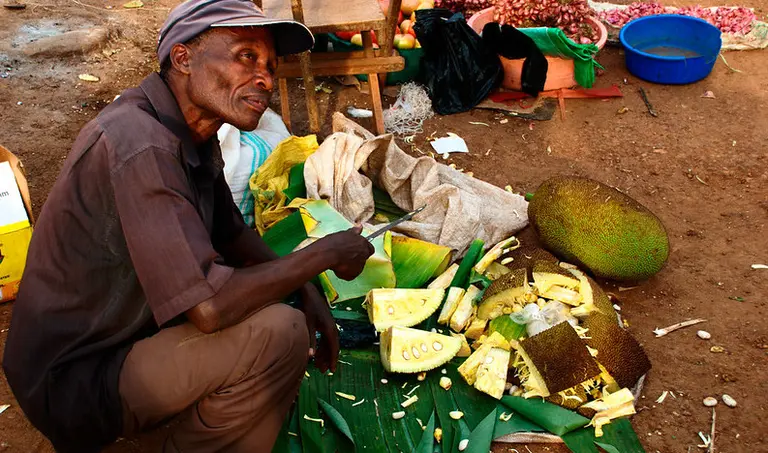 Jack fruit vendor spreads out their wares on the ground.