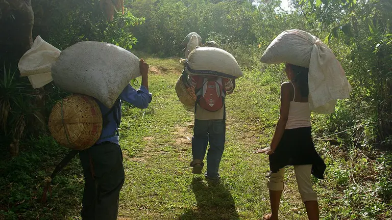 Three people walking and carrying bags on their backs.