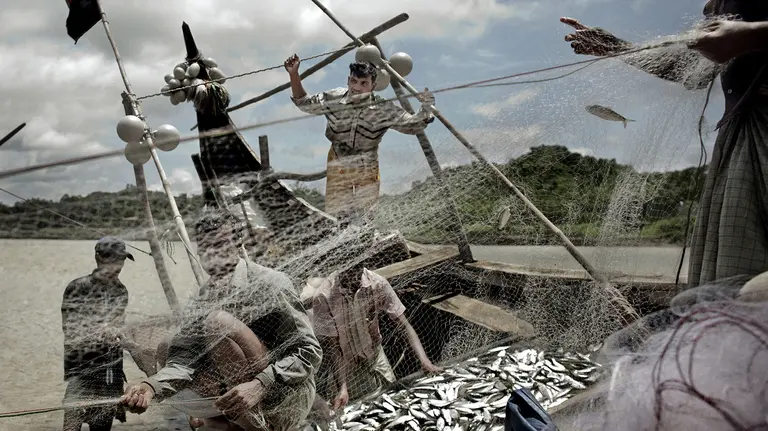 Fishers in a small boat unpack the fish they have caught 