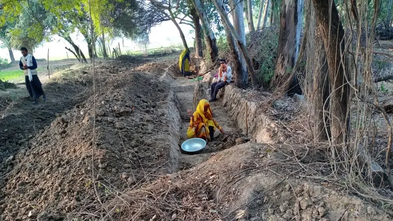 Woman digging a hole in the forest