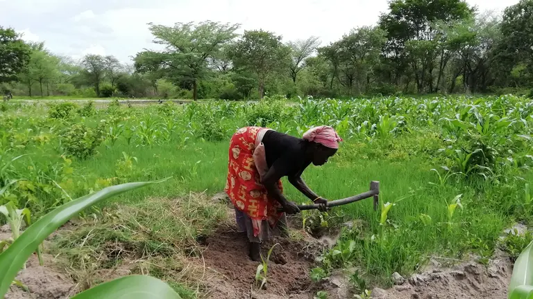 Woman farming