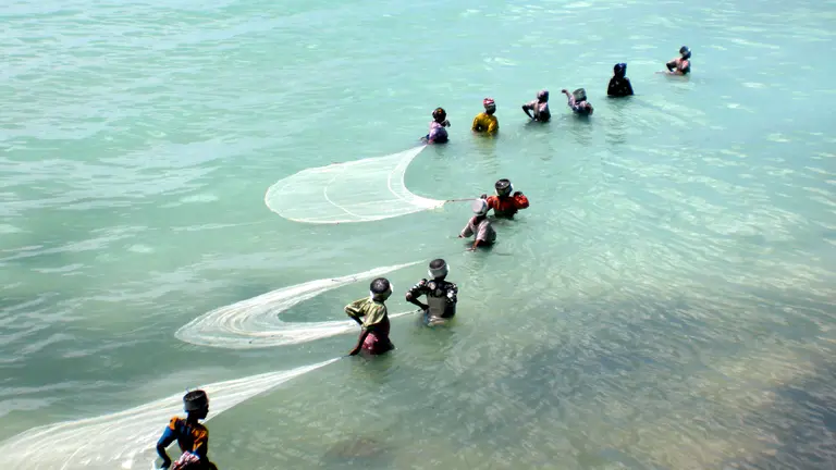 Women fishing in shallow water