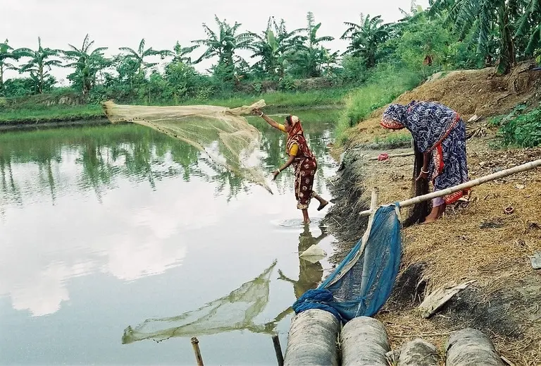 Two women throwing fishing nets at a lake 