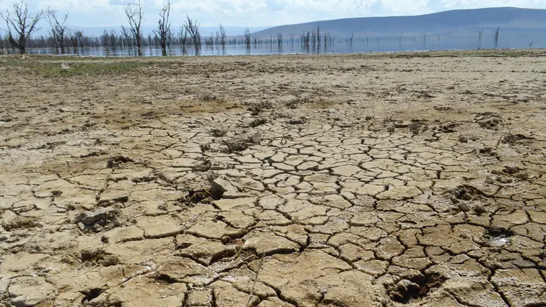 Landscape of cracked earth