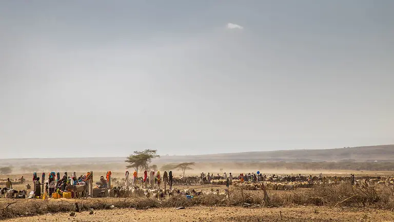 Desertic landscape
