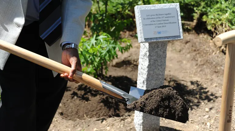 Close-up of a shovel, on which dirt is balanced, during a tree-planting ceremony, with a plaque in the background