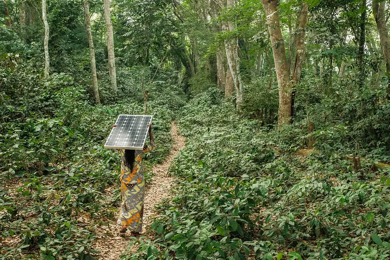 Woman carries a solar panel and walks through a forest