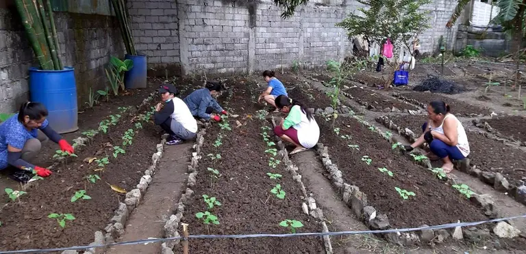 People squatting before plant beds