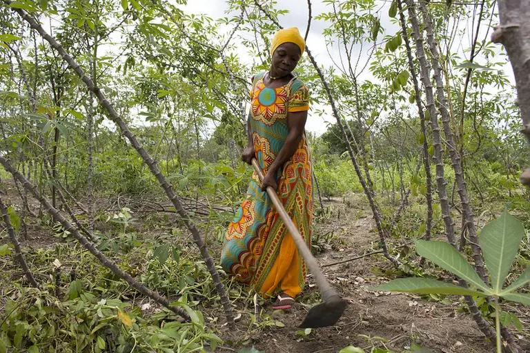 Woman holding a hoe in a field.
