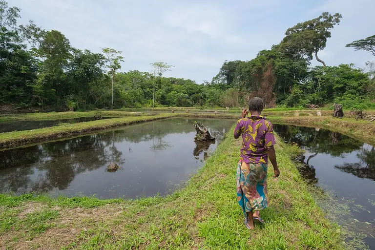 A person walks between two ponds.