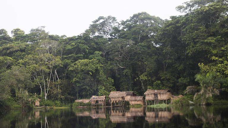 Houses on stilts at the side of water, with trees behind