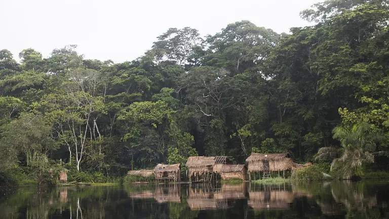 Houses on stilts at the side of water, with trees behind