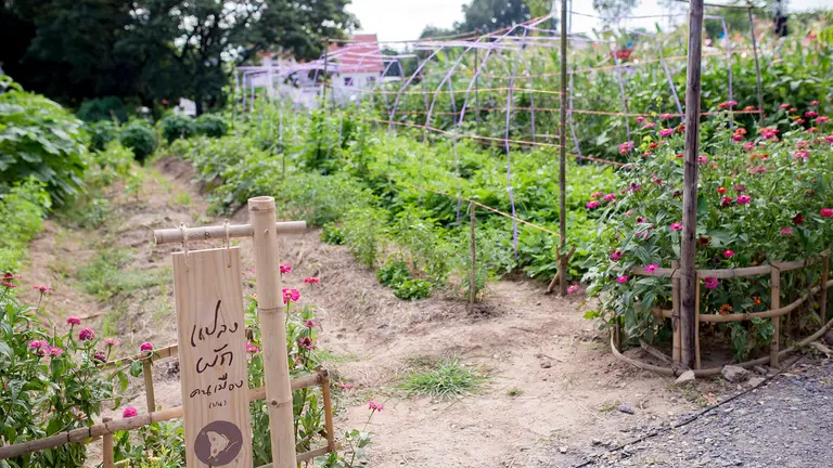 Entrance to a garden