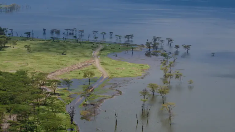 Rising water levels submerge trees and encroach on land