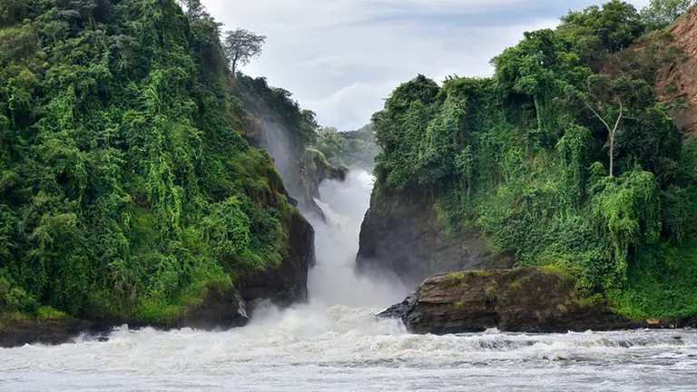 Waterfalls surrounded by nature.