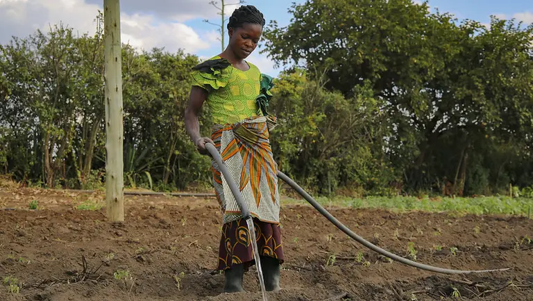 Woman waters seedlings