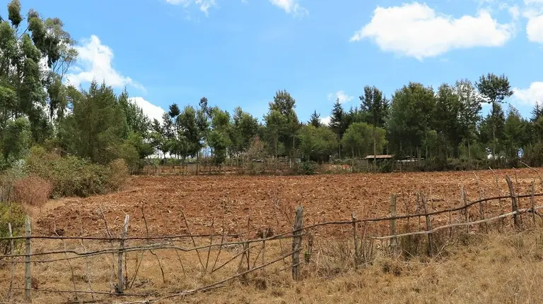 A wooden fence leads on to a field behind which are trees