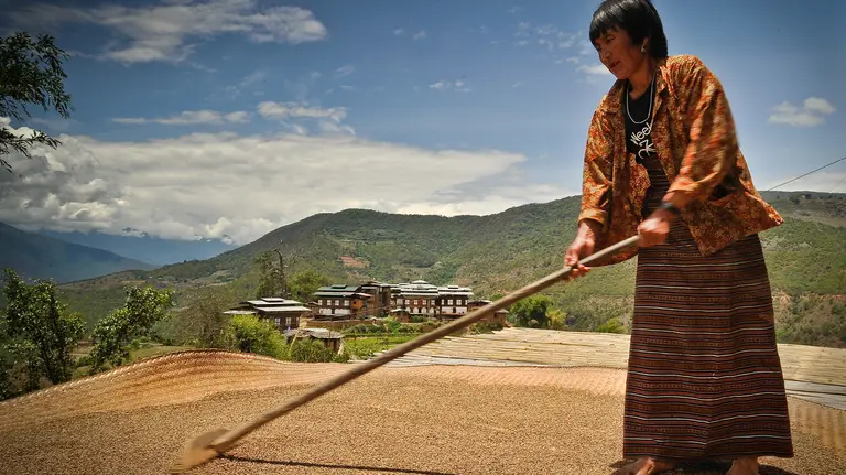 A women wielding a hoe tends to her crops before a spectacular background of green hills 
