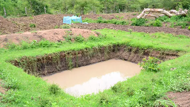 A rectangular pond cut into the ground, surrounded by grass and green plants. Crops are growing in the background.