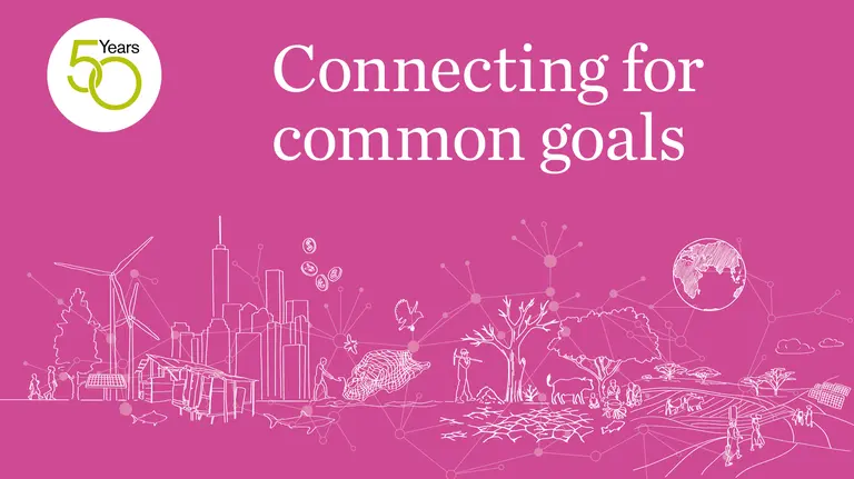 An illustration on a pink background showing connections from individual objects and people.
