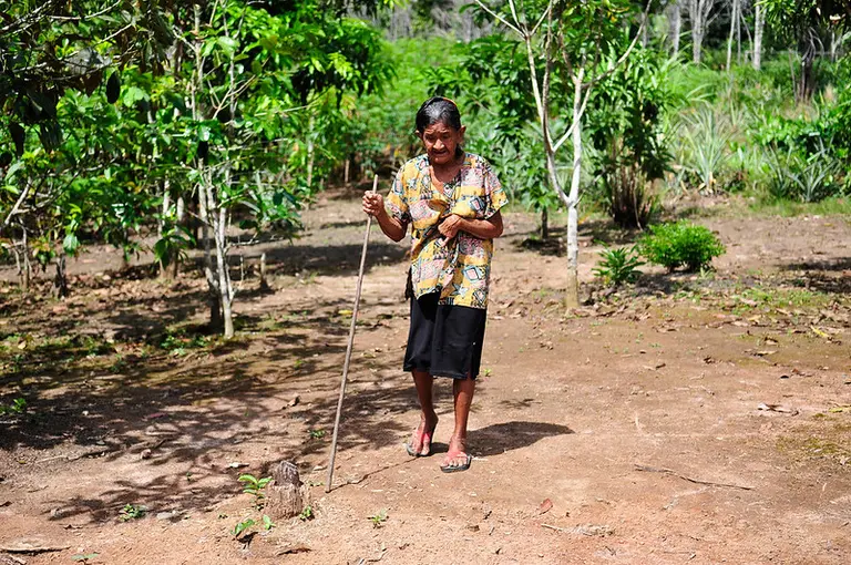 Old woman walks in the forest holding a stick.