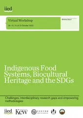 20191iied cover image