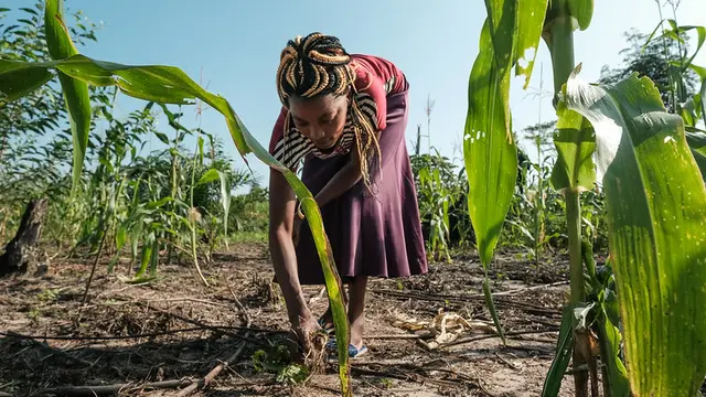 Woman bending over and grabbing plants