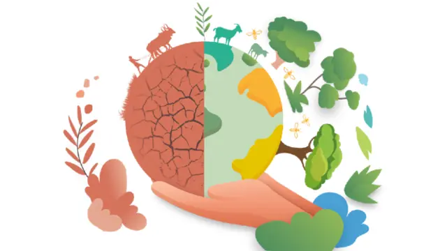The Dryland Sustainable Landscapes Impact Programme project logo.