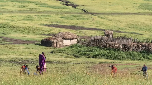 Men with traditional Maasai clothing walk in the savannah
