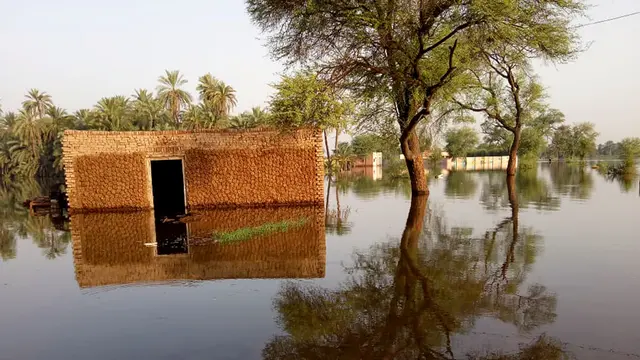 A house submerged in flood waters with a tree towering above 
