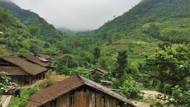Foggy forest landscape with wooden housing