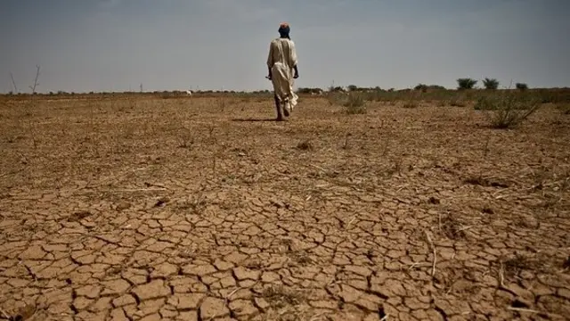 Person walks on arid soils