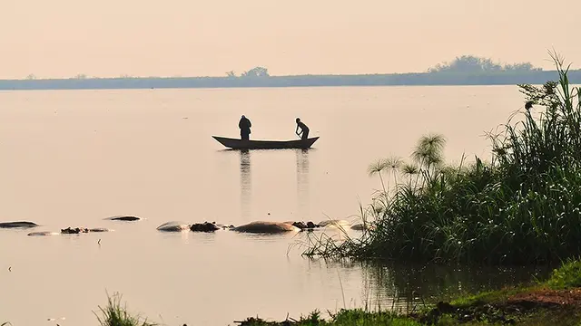 Two people in a boat on a large body of water, next to a group of hippos bathing