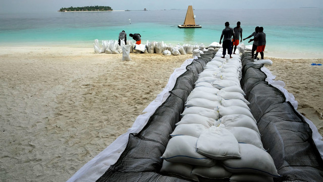 Men pile up sandbags in a long line on a beach, with the ocean in the background.