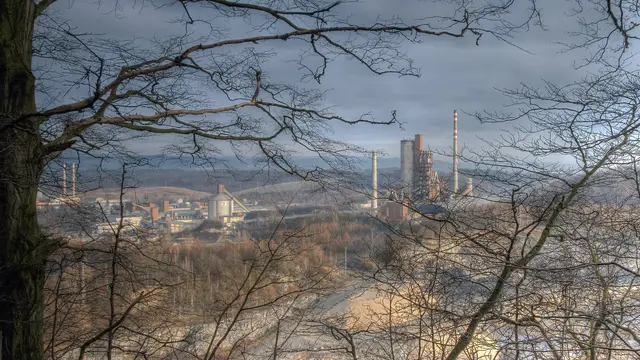 A cement factory in the background covered by tree branches.