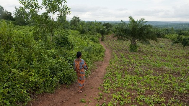 A woman strolling on a dirt path in a field.